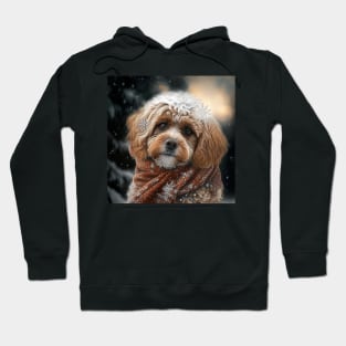 Winter Cavoodle Hoodie